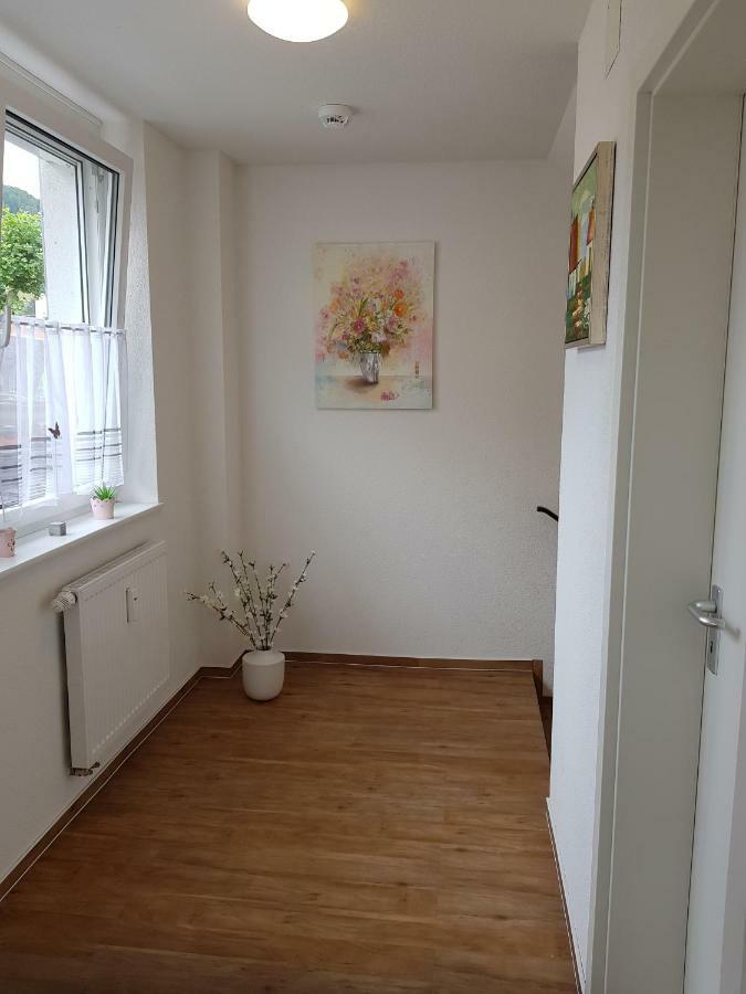 Wiesenblume Apartment Schonau im Schwarzwald Exterior photo